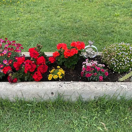 Le Jardin de LaCoste-3